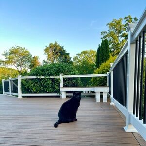 Meet your Posher, Cleo